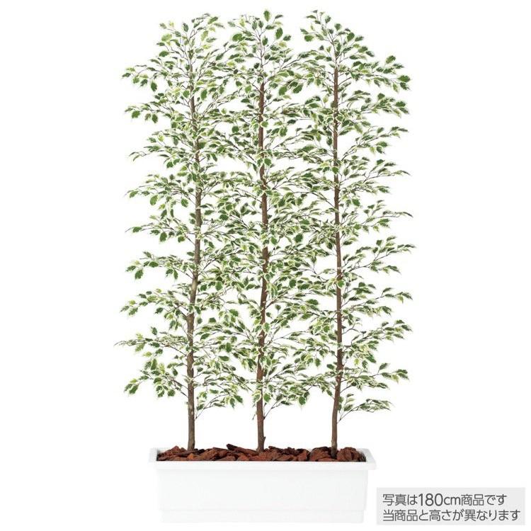 光触媒 人工観葉植物 ベンジャミナスプラッシュセパレート 300cm 光触媒 人工観葉植物 ベンジャミナスプラッシュセパレート 300cm