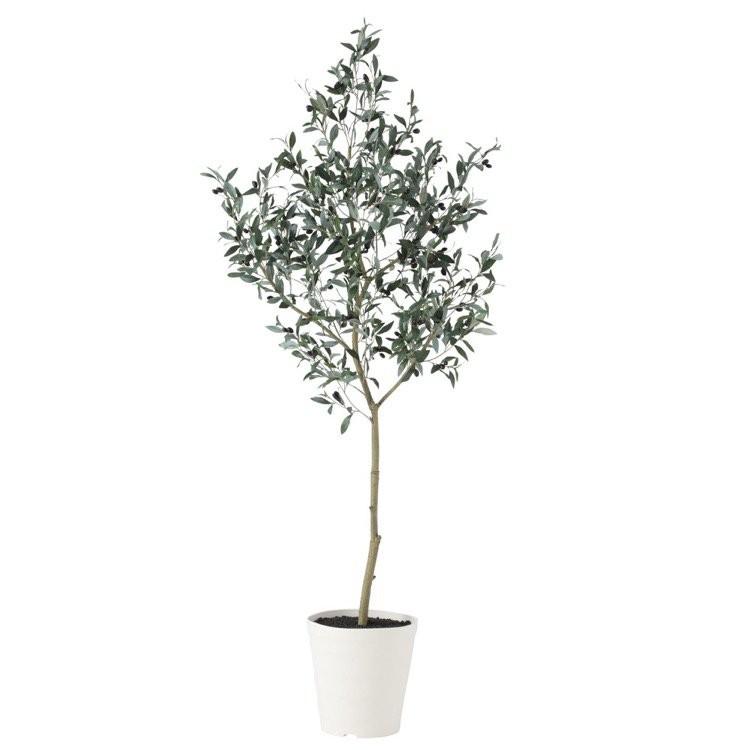 人工観葉植物 大型 ブラックオリーブ Fst 180cm 鉢植 観葉植物 造花 フェイクグリーン 光触媒 Ct触媒 インテリア Tk フェイクグリーンの神戸花物語 通販 Yahoo ショッピング