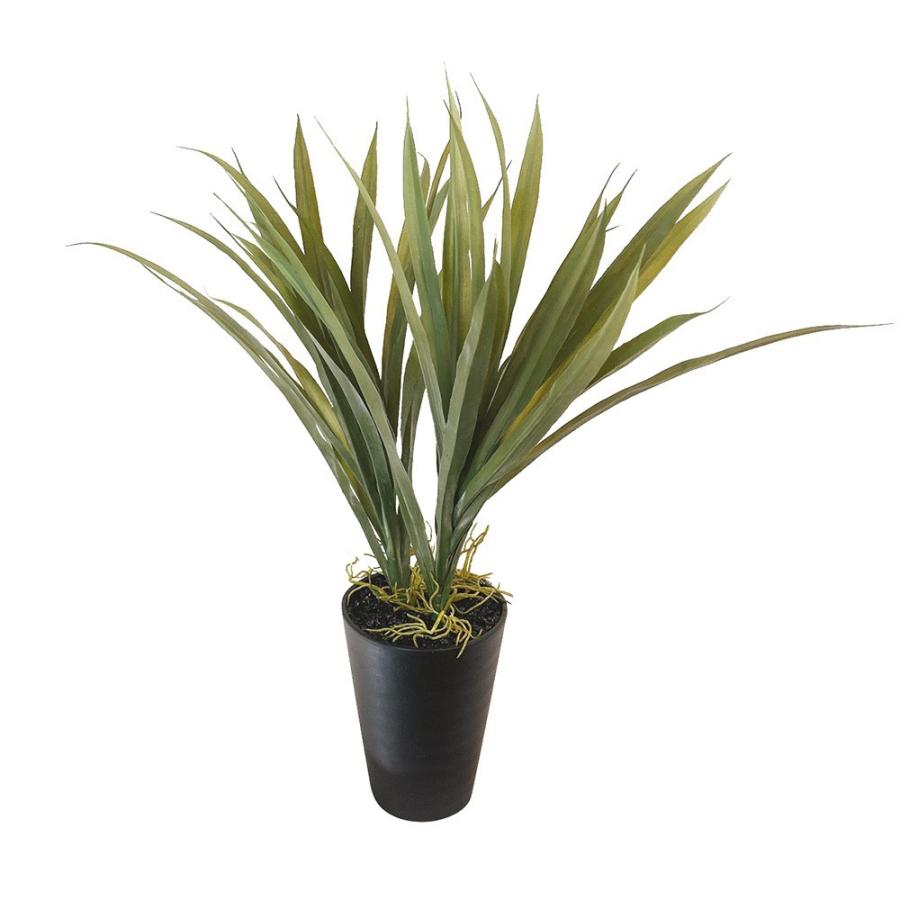 フェイクグリーン アオオリヅルラン 50cm 鉢植 人工観葉植物 観葉植物 造花 光触媒 Ct触媒 インテリア Tk フェイクグリーンの神戸花物語 通販 Yahoo ショッピング