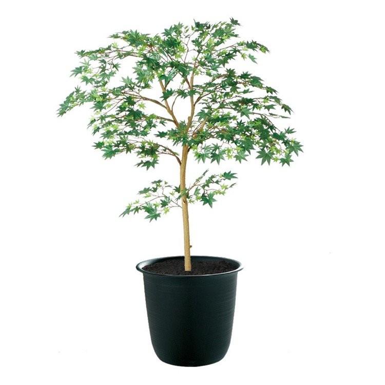 フェイクグリーン 観葉植物 人工観葉 大型 光触媒 造花 ヤマモミジ GREEN FST 100cm 鉢植 インテリア 91761