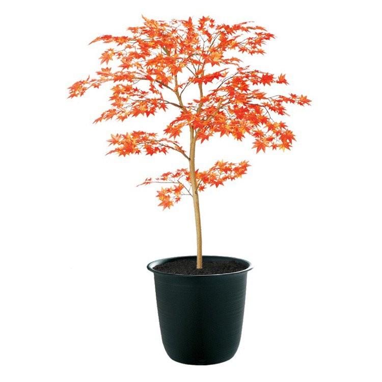 フェイクグリーン 観葉植物 人工観葉 大型 光触媒 ヤマモミジ RED FST 100cm 鉢植 造花 インテリア 91770