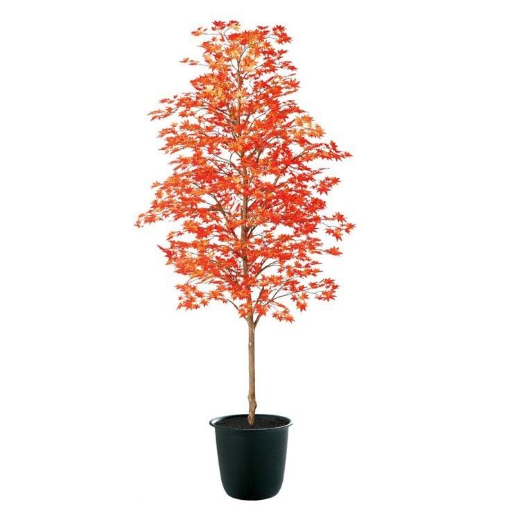 人工観葉植物 大型 ヤマモミジ 紅 180cm 鉢植 観葉植物 造花 フェイクグリーン 光触媒 CT触媒 インテリア 91775