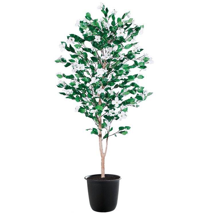 フェイクグリーン 大型 ハナミズキ 180cm 鉢植 観葉植物 造花 人工観葉植物 光触媒 Ct触媒 インテリア Tk フェイクグリーンの神戸花物語 通販 Yahoo ショッピング