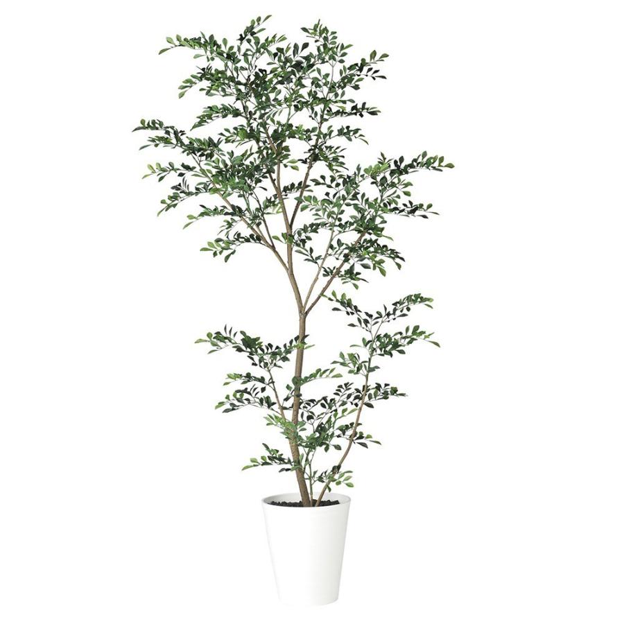 人工観葉植物 フェイクグリーン 観葉植物 造花 光触媒 大型 トネリコ Fst 180cm 鉢植 インテリア Ct触媒 Tk 918 フェイクグリーンの神戸花物語 通販 Yahoo ショッピング