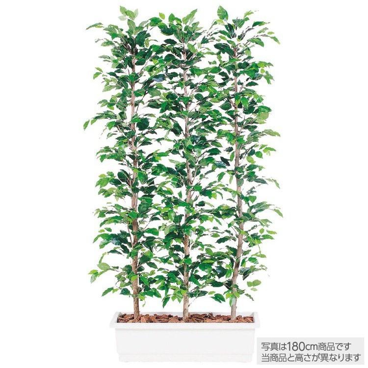 人工観葉植物 フィッカスベンジャミナパーテーション ベンジャミン 150cm 鉢植 大型 並行輸入品 観葉植物 インテリア 光触媒 フェイクグリーン Ct触媒 造花