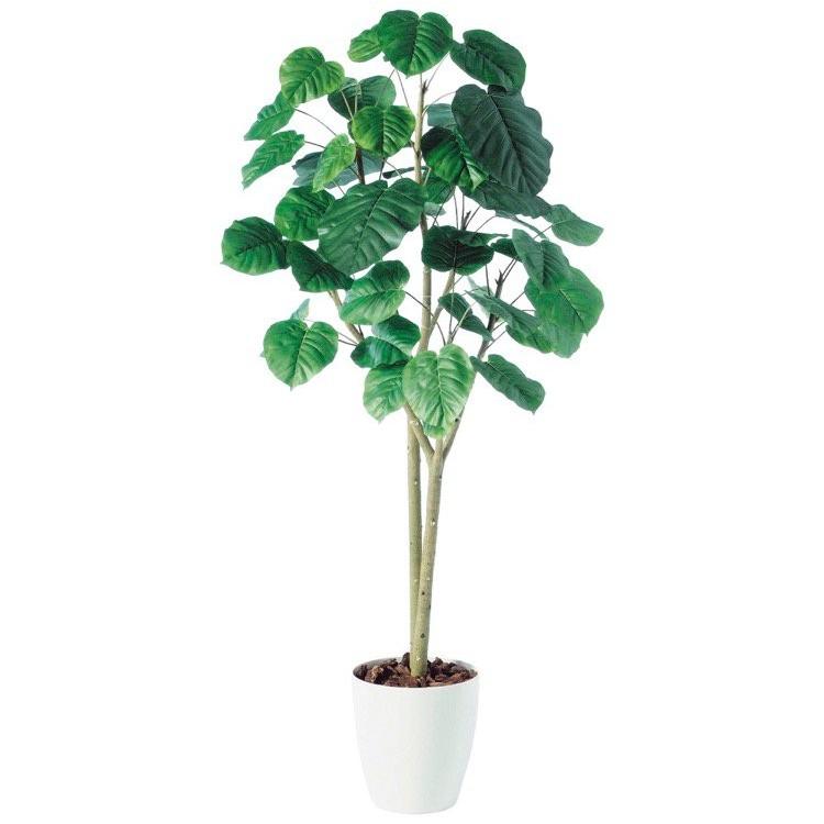 人工観葉植物 大型 ウンベラータ２本立 180cm 鉢植 フェイクグリーン 観葉植物 造花 光触媒 Ct触媒 インテリア Purrworld Com