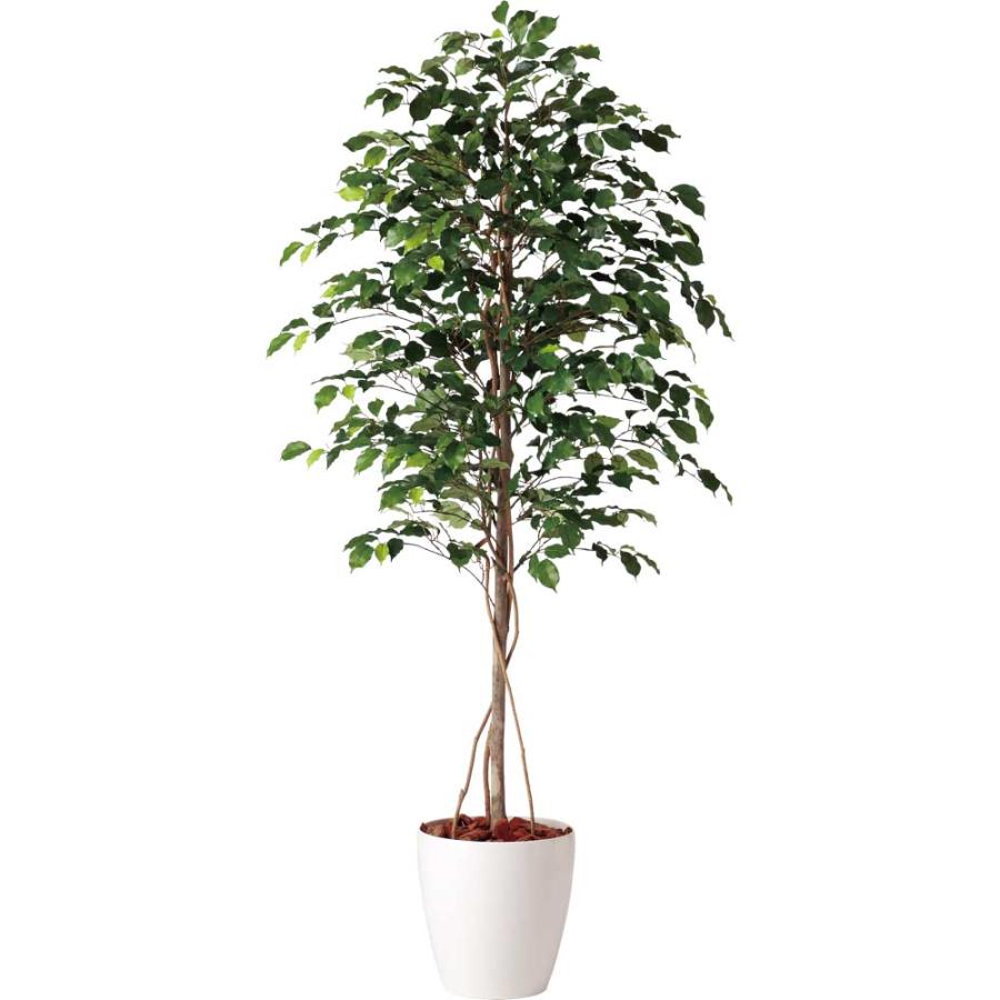 高級感 観葉植物 造花 大型 フィッカスベンジャミナ ベンジャミン 180cm 鉢植 フェイクグリーン 人工観葉植物 光触媒 Ct触媒 インテリア Tk フェイクグリーンの神戸花物語 通販 Yahoo ショッピング 超激安 Www Maxipiso Com Ar
