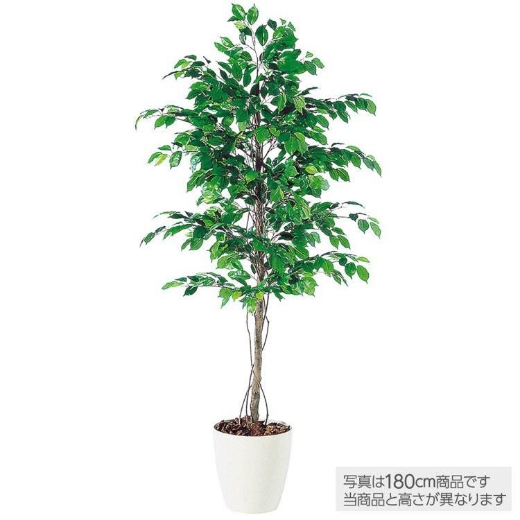 人工観葉植物 フィッカスベンジャミナ (ベンジャミン) 150cm 鉢植 大型 フェイクグリーン 観葉植物 造花 光触媒 CT触媒 インテリア 98519