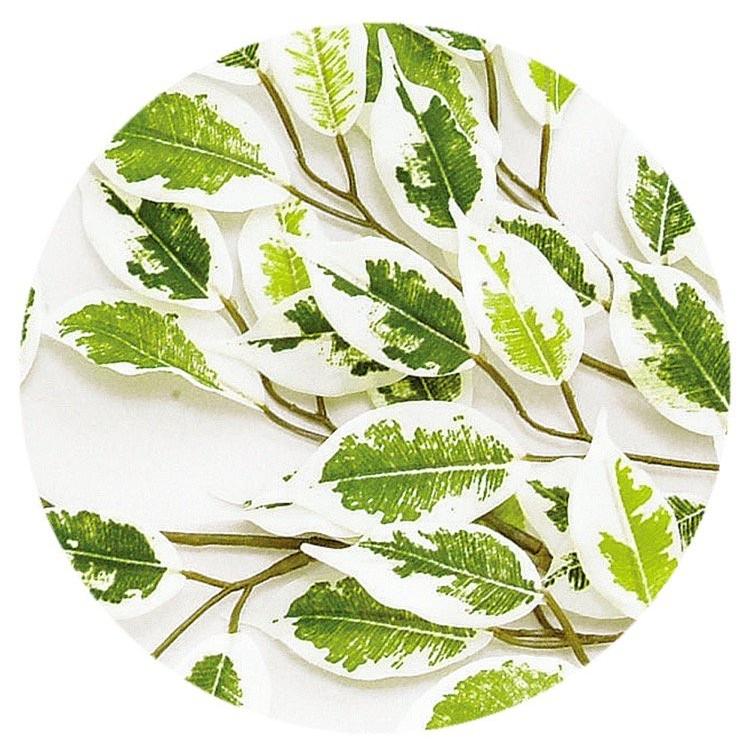 神戸花物語 メーカー直送｜人工観葉植物 大型 ベンジャミナスター