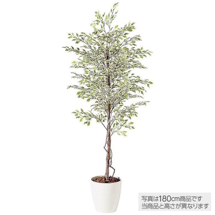 フェイクグリーン 観葉植物 人工観葉 大型 光触媒 ベンジャミナスターライト (ベンジャミン) 150cm 鉢植 造花 インテリア 98525