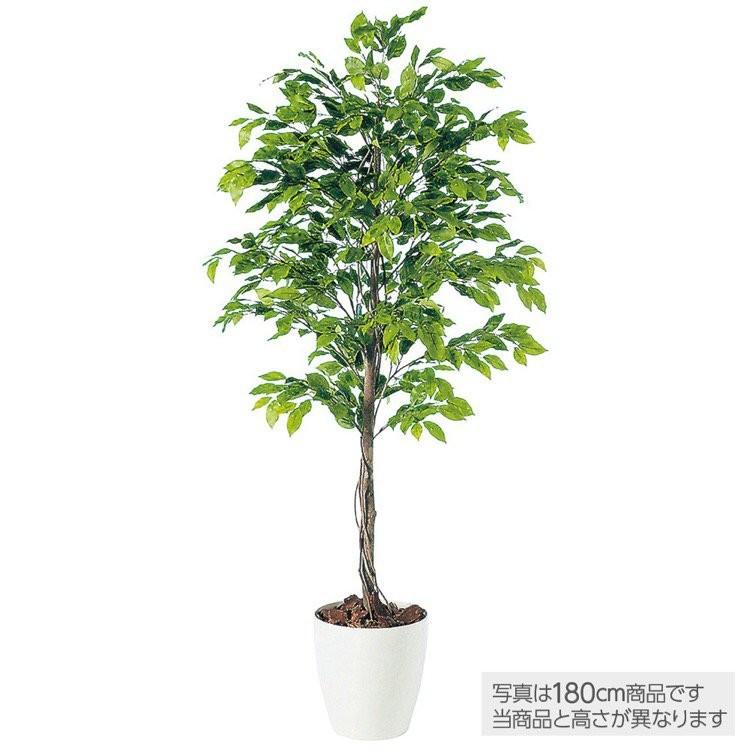 メーカー直送 人工観葉植物 大型 ベンジャミナスプラッシュ ベンジャミン 0cm 鉢植 観葉植物 造花 フェイクグリーン インテリア Tk フェイクグリーンの神戸花物語 通販 Yahoo ショッピング