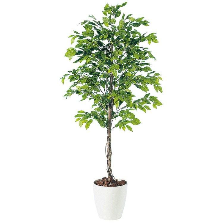 人工観葉植物 大型 ベンジャミナスプラッシュ ベンジャミン 180cm 鉢植 光触媒 観葉植物 インテリア Ct触媒 評判 フェイクグリーン 造花