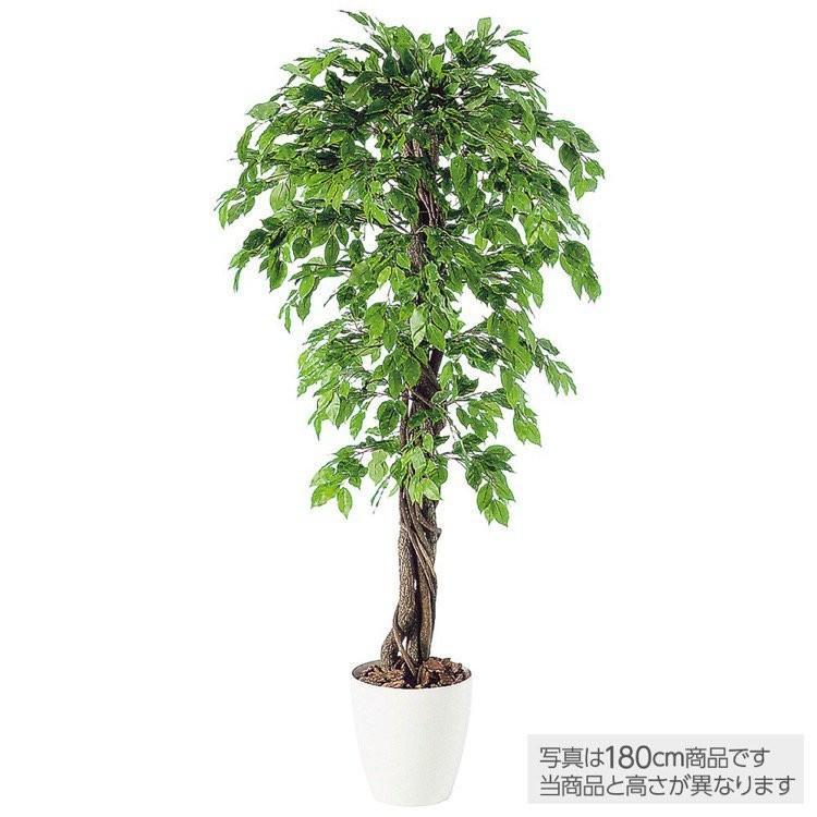 光触媒　人工観葉植物　フェイクグリーン　ベンジャミンスプラッシュリアナ150 観葉植物 造花 ベンジャミナスプラッシュリアナ (ベンジャミン) 150cm
