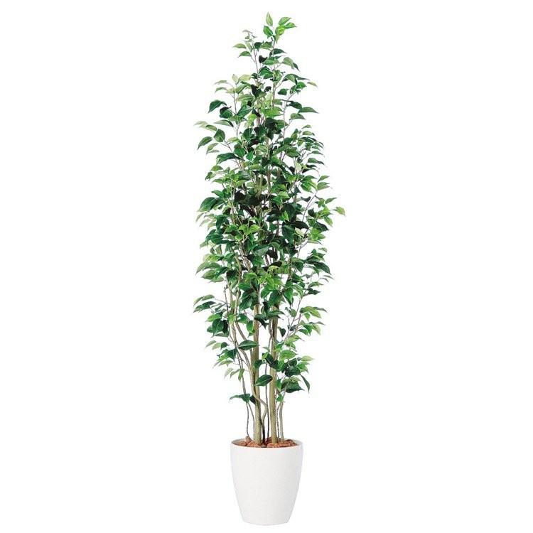 フェイクグリーン 観葉植物 人工観葉 大型 光触媒 ベンジャミン