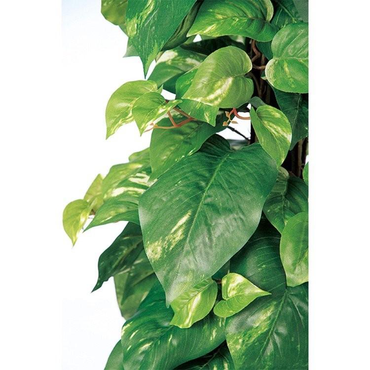フェイクグリーン 観葉植物 人工観葉 大型 光触媒 ポトスヘゴ-DX 90cm 鉢植 造花 インテリア 98657_1
