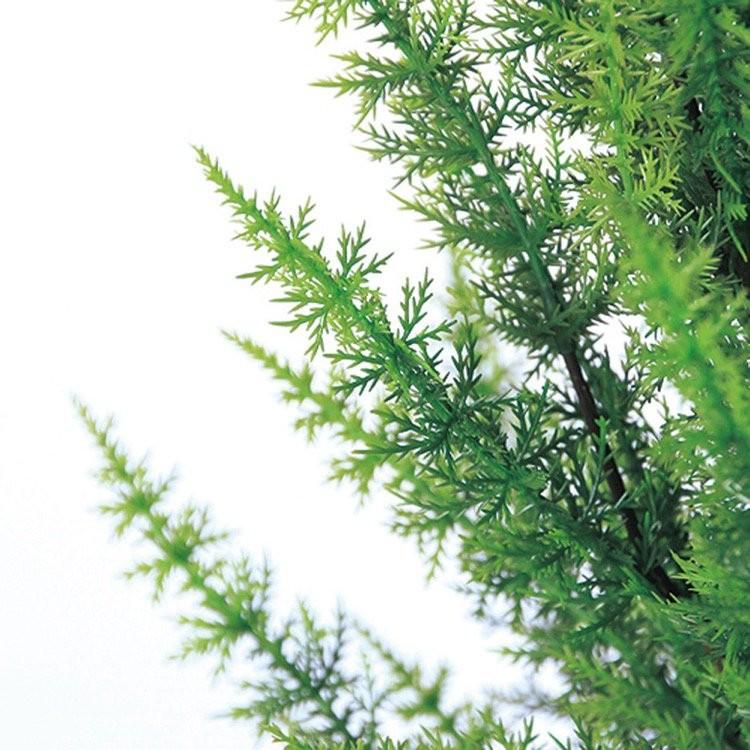 神戸花物語 フェイクグリーン 観葉植物 人工観葉 大型 光触媒 神戸花物語 フェイクグリーン 観葉植物 人工観葉 大型 光触媒