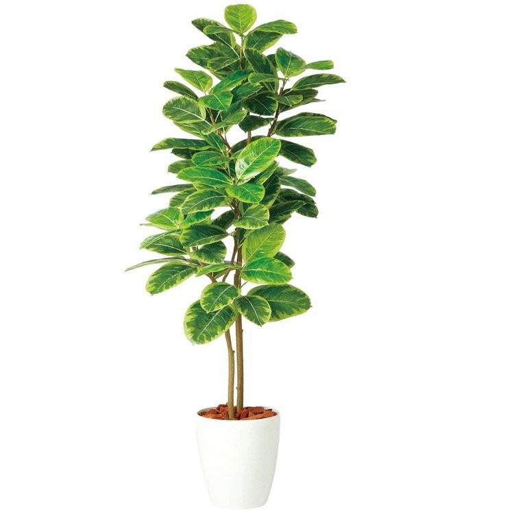フェイクグリーン 観葉植物 人工観葉 大型 光触媒 アルテシマ株立 FST (アルティーシマ アルテーシマ) 150cm 鉢植 造花 インテリア 98942