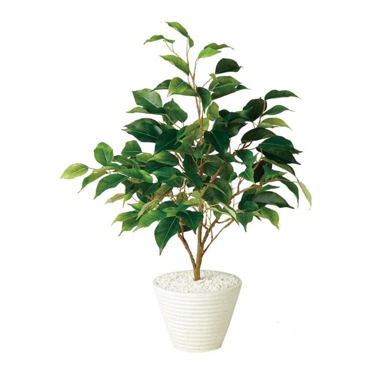 送料無料 人工観葉植物 テーブル ベンジャミン 55cm 鉢植 観葉植物 造花 フェイクグリーン 光触媒 Ct触媒 インテリア 高い品質 Kwsrbd Com