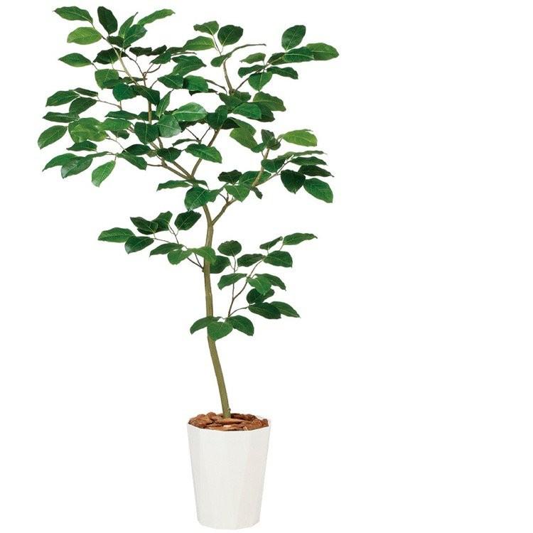 光触媒　観葉植物　ウォールグリーン　フェイクグリーン　ベンガルボタイジュ150 光触媒観葉植物ウォールグリーンフェイクグリーンベンガルボダイジュ150