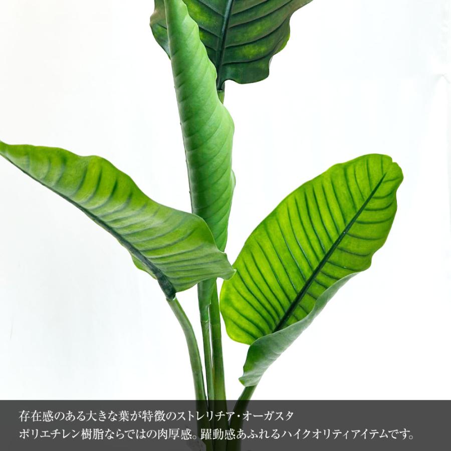 神戸花物語 フェイクグリーン 観葉植物 人工観葉 大型 光触媒 神戸花物語 フェイクグリーン 観葉植物 人工観葉 大型 光触媒