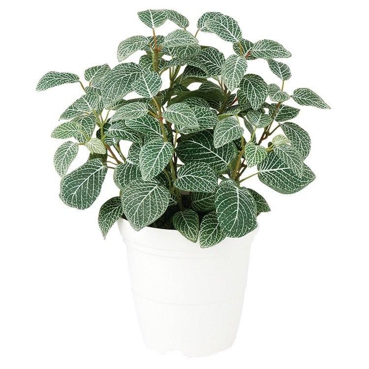 神戸花物語 フェイクグリーン 観葉植物 人工観葉 卓上 ミニ 小さい
