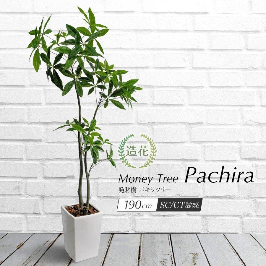 超人気の 人工観葉植物 フェイクグリーン 大型 発財樹 パキラツリー 190cm 鉢植 観葉植物 造花 光触媒 Ct触媒 Tkd Fgpot フェイクグリーンの神戸花物語 通販 Yahoo ショッピング 即納最大半額 Www Jolimmo Ch