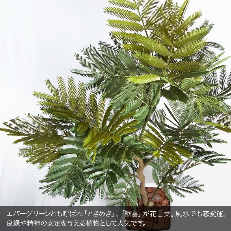 人工観葉植物 大型 エバーフレッシュ 175cm 鉢植 ネムノキ フェイクグリーン 造花 光触媒 CT触媒 インテリア リアル おしゃれ｜k-hana｜03