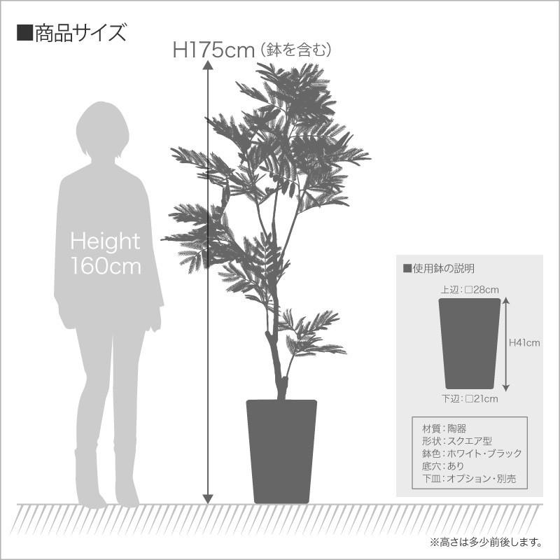 人工観葉植物 大型 エバーフレッシュ 175cm 鉢植 ネムノキ フェイクグリーン 造花 光触媒 CT触媒 インテリア リアル おしゃれ｜k-hana｜06