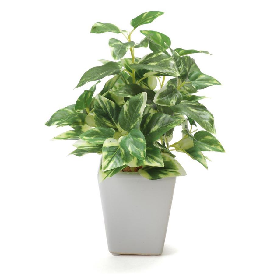 フェイクグリーン 人工 観葉植物 造花 光触媒 ミニ ロマンスの観葉 マーブルポトスminiポット 陶器鉢 フェイク グリーン インテリア おしゃれ Ct触媒 お祝い Vk F4024 フェイクグリーンの神戸花物語 通販 Yahoo ショッピング