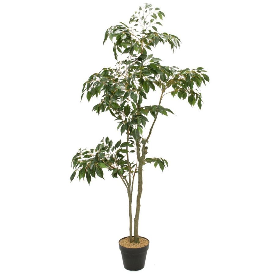 人工観葉植物 フェイクグリーン 観葉植物 造花 光触媒 大型 ファイカスポット 140cm フィカス フェイク グリーン インテリア おしゃれ Ct触媒 お祝い Vk F5056 フェイクグリーンの神戸花物語 通販 Yahoo ショッピング