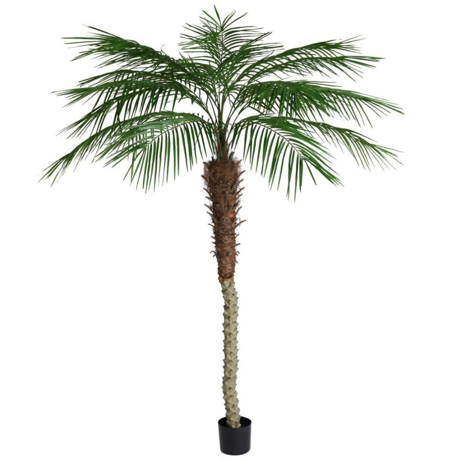 人工観葉植物 造花 光触媒 大型 フェニックスパームツリー 210cm フェイクグリーン リアル Ct触媒 Vk Fd3580 フェイクグリーンの神戸 花物語 通販 Yahoo ショッピング