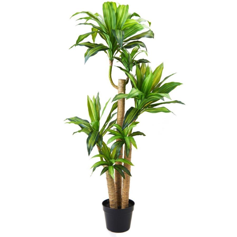 店舗ランキング商品 人工観葉植物 造花 光触媒 大型 ドラセナ 148cm フェイクグリーン リアル Ct触媒 P47 Vk P47 フェイクグリーンの神戸花物語 通販 Yahoo ショッピング 正規輸入品 Franks Restaurant Com