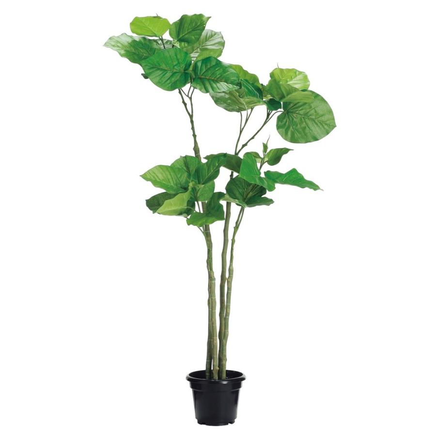 光触媒　人工観葉植物　ウォールグリーン　フェイクグリーン　ウンベラータ220 光触媒 人工観葉植物 ウォールグリーン フェイクグリーン ウンベラータ