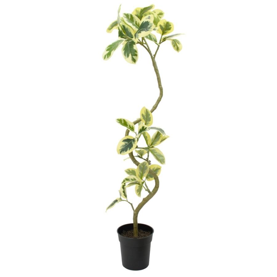 観葉植物 フェイク 大型 造花 ツイストアルテシマポット グリーン ホワイト 122cm フィカスソフィア フェイクグリーン リアル 人工観葉植物 Ct触媒 Vk Vr238 フェイクグリーンの神戸花物語 通販 Yahoo ショッピング