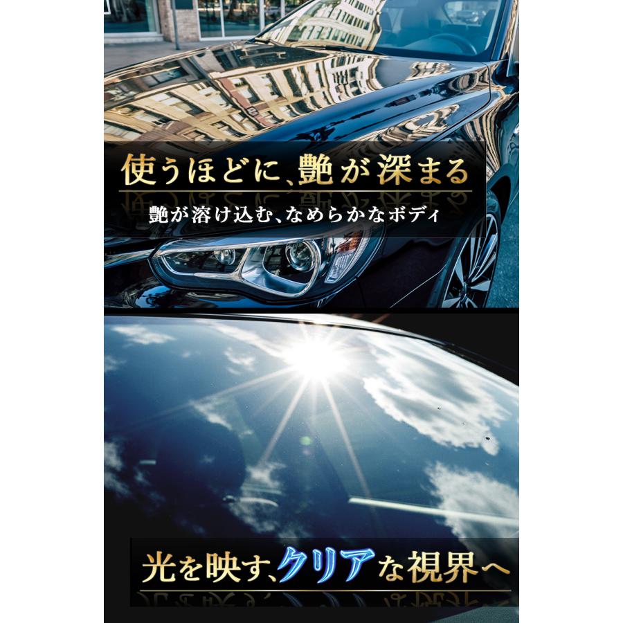 嵐神 プレミアムグラフェンコート 車 ボディ 窓ガラス コーティング 強