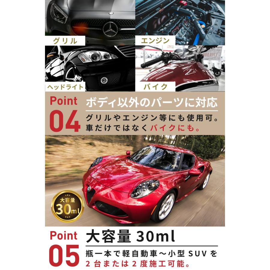 SPEEVAL Prism Guard+ 硬化型 ガラスコーティング剤 ボディ用 自動車