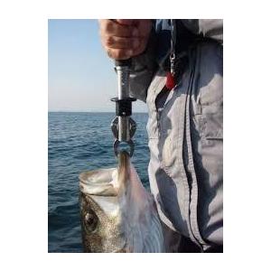 BOGA GRIP ボガグリップ 15lb 6.8キロ Model 315 Eastaboga BOGA GRIP ボガグリップ 15lb 6.8キロ Model 315 Eastaboga