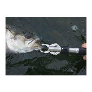 BOGA GRIP ボガグリップ 15lb 6.8キロ Model 315 Eastaboga BOGA GRIP ボガグリップ 15lb 6.8キロ Model 315 Eastaboga