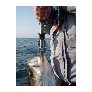 BOGA GRIP ボガグリップ 30lb 13.6キロ Model 130 Eastaboga BOGA GRIP ボガグリップ 30lb 13.6キロ Model 130 Eastaboga