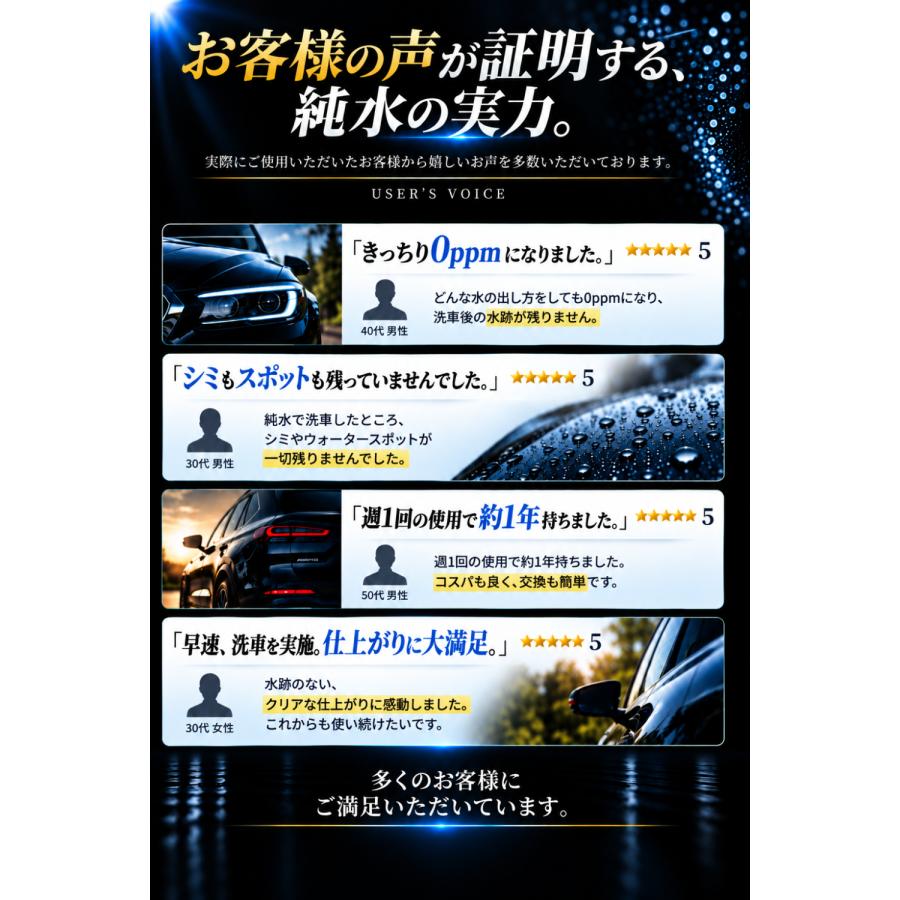 イオン交換樹脂 純水器用 交換樹脂 10L 5L×2袋 洗車 純水器 洗車用純水