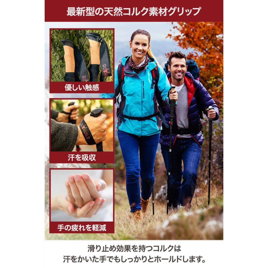 Rothwild ドイツ産 トレッキングポール カーボン 折りたたみ式 2本