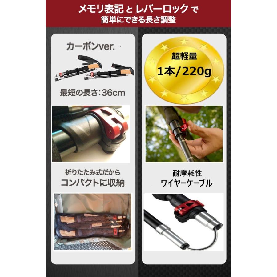 Rothwild ドイツ産 トレッキングポール カーボン 折りたたみ式 2 Rothwild ドイツ産 トレッキングポール カーボン 折りたたみ式 2