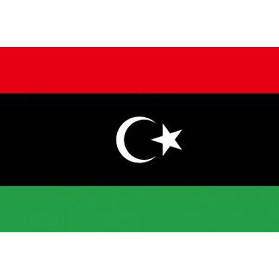 TOSPA アルバニア 国旗 200×300cm テトロン製 日本製 世界の国旗