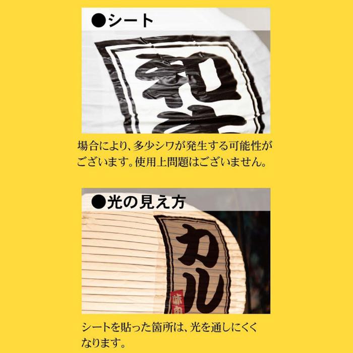 43777 フルカラー ビニール 提灯 ちょうちん 射的 八寸丸 白 1面印刷