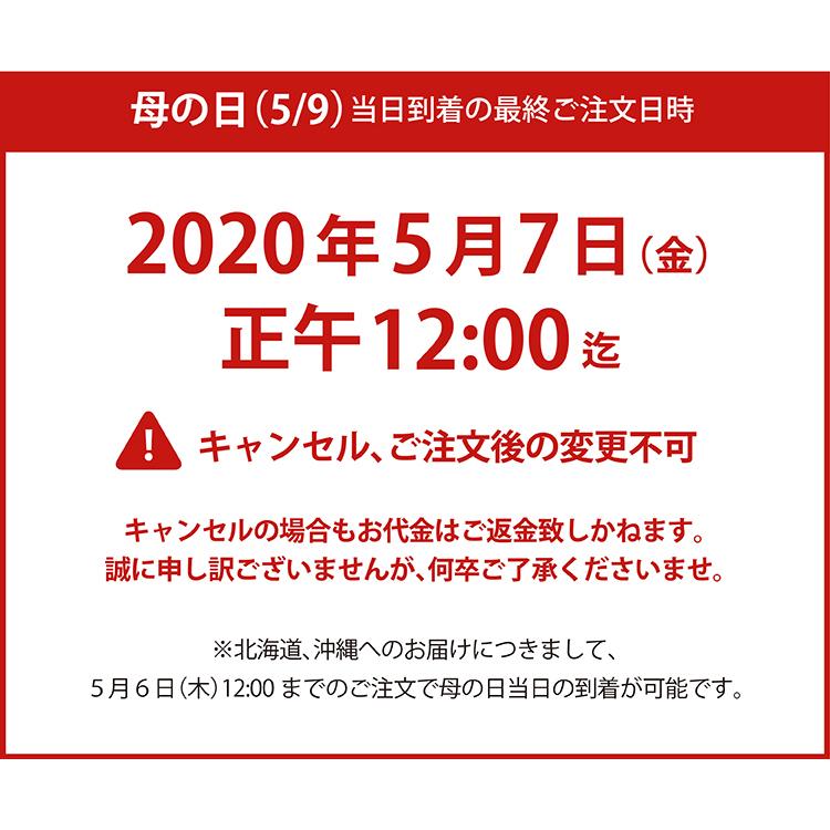 母の日 ギフト 2021  カスミソウバルーンブーケ 送料無料　あす楽 バルーンブーケ　カスミソウ インスタ　映え 記念日　誕生日　お祝い｜k-jaw｜18