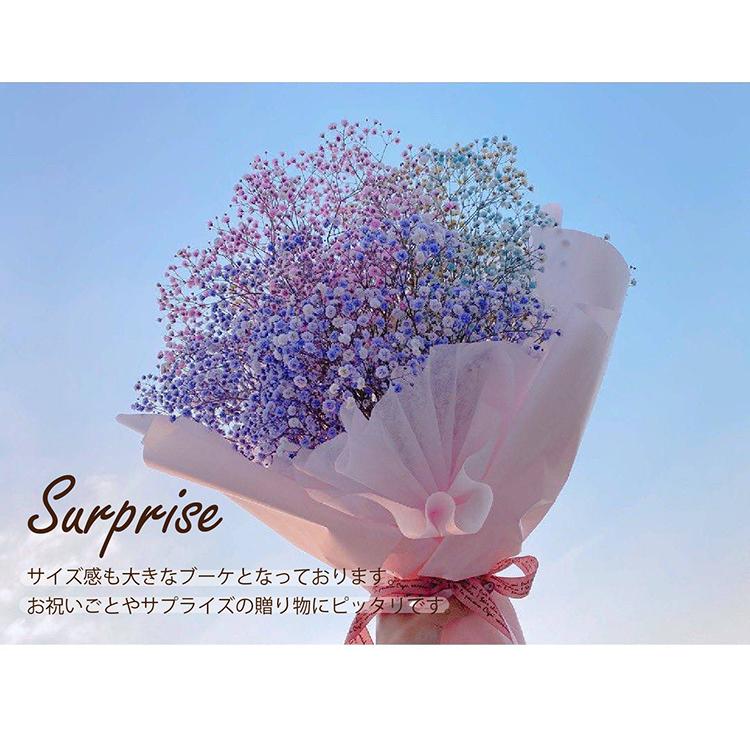 敬老の日 カスミソウブーケ M 送料無料 あすつく カスミソウ ドライフラワー 生花 送別 卒業 誕生日 記念日 サプライズ 映え あすつく Gyp Bouquet M Gift Shop K Jaw 通販 Yahoo ショッピング