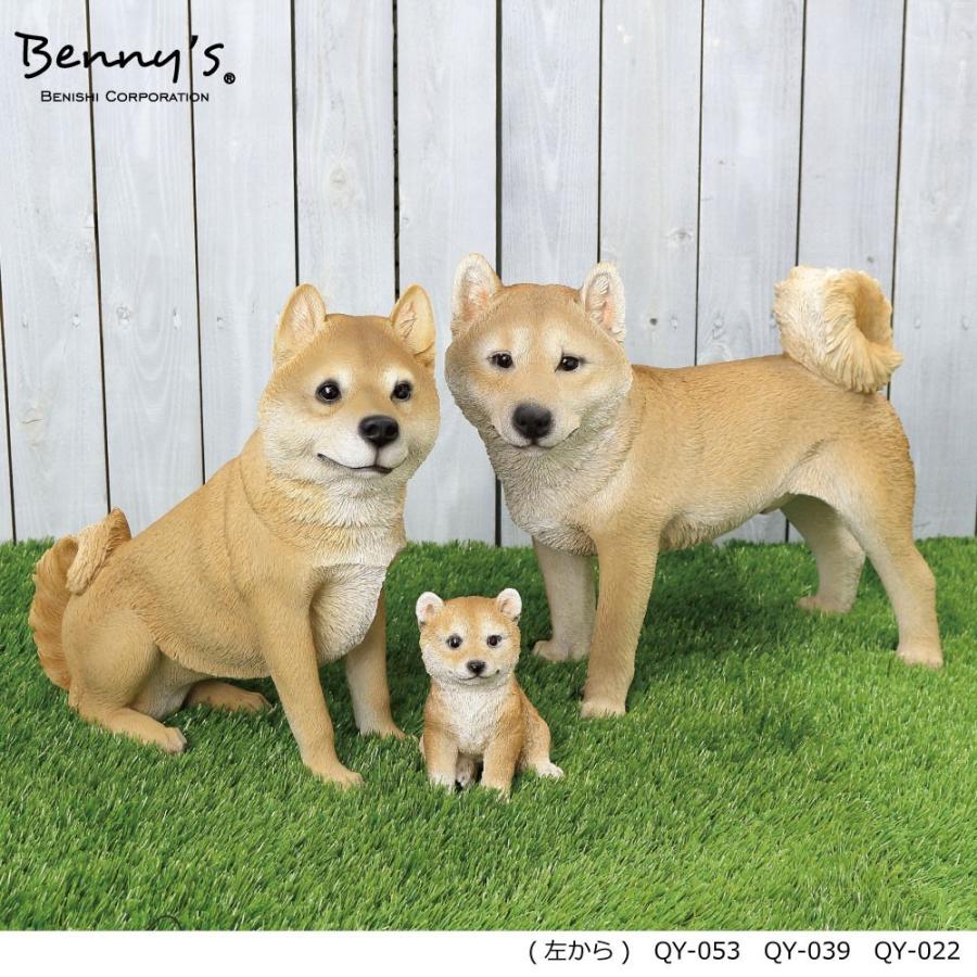 QY-039 【 送料無料 】 シバ 赤柴 黒柴 大人気！かわいい子 シバ  日本の犬・柴犬！ 紅石 Benny's プレゼント アニマル オブジェ｜k-kiroku｜06