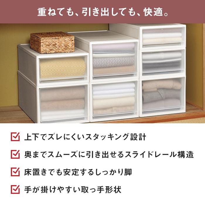 JEJアステージ 収納ボックス 衣装ケース (ストラ クローゼット用 L