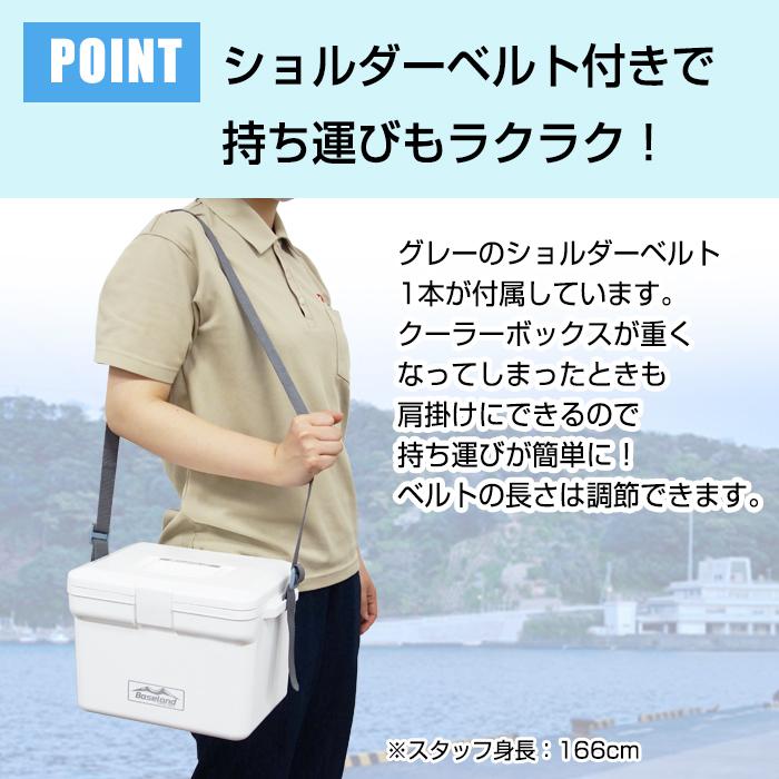 JEJアステージ 収納ボックス クーラーボックス 小型(ベースランド 7.5L