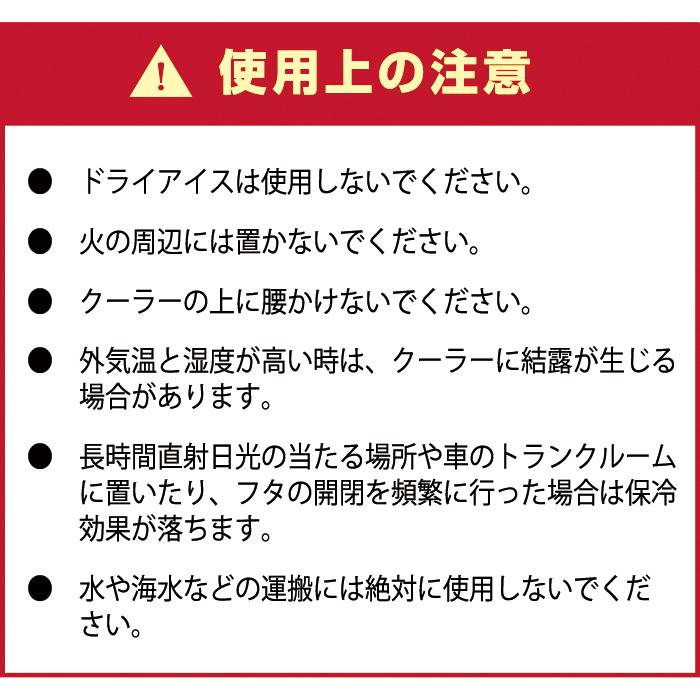 クーラーボックス 小型 (クーラーベースランド 12L ホワイト)一人用  キャンプ用品 フェス 海 バーベキュー BBQ 便利 釣り 収納ケース アウトドア収納 クーラー｜k-lalala｜12